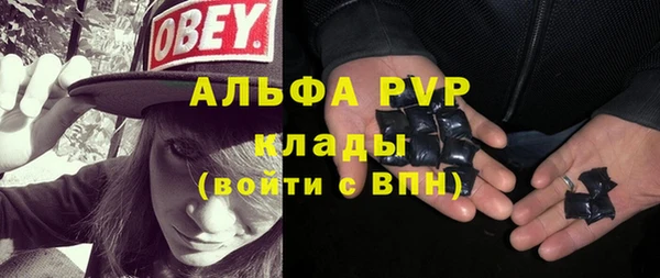 крисы Абаза
