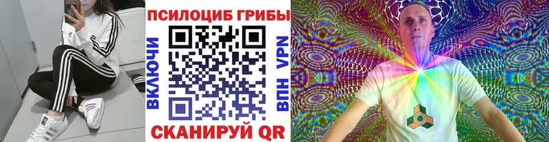 Галлюциногенные грибы Psilocybine cubensis  Кирсанов 